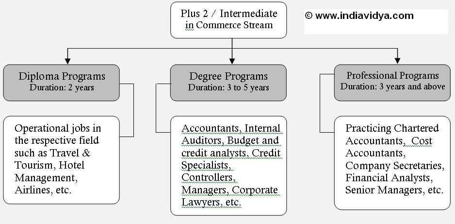 career options after diploma in computer engineering