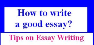 Essay writing tips